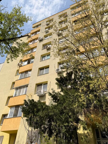 Teiul Doamnei, Maica Domnului, strada Otesani, 10 min. metrou Obor.