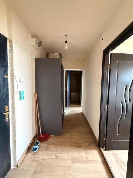 Teiul Doamnei, Maica Domnului, strada Otesani, 10 min. metrou Obor.