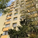 Teiul Doamnei, Maica Domnului, strada Otesani, 10 min. metrou Obor